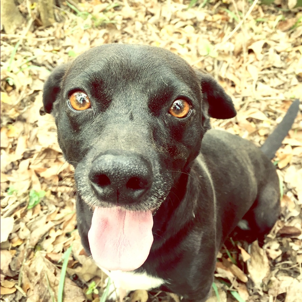 Meet your Posher, Gabrielle